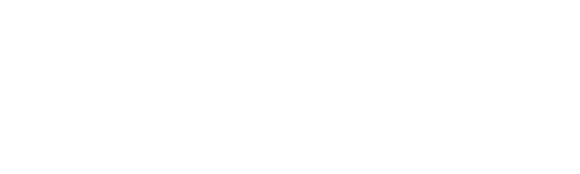 Trivo Solar